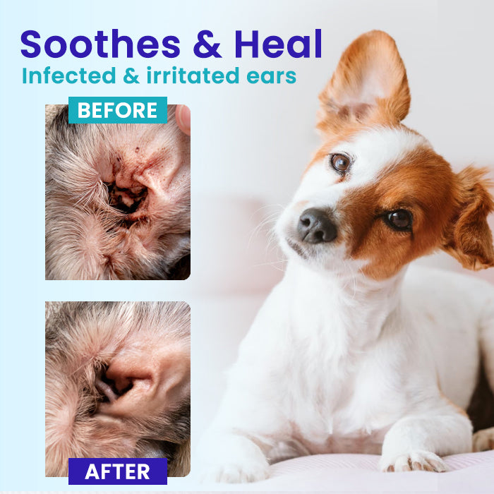 ✨70% OFF Ends in 10minute  | Daily Ear Care Made Simple for Pets | RZXEA™ Pet EarPro Drops FM+